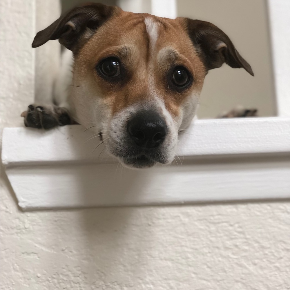 Meet your Posher, Marci